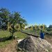 Snagov, Tancabesti, oportunitate, teren, casa, 1.000 mp, investitie