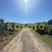 Snagov, Tancabesti, oportunitate, teren, casa, 1.000 mp, investitie